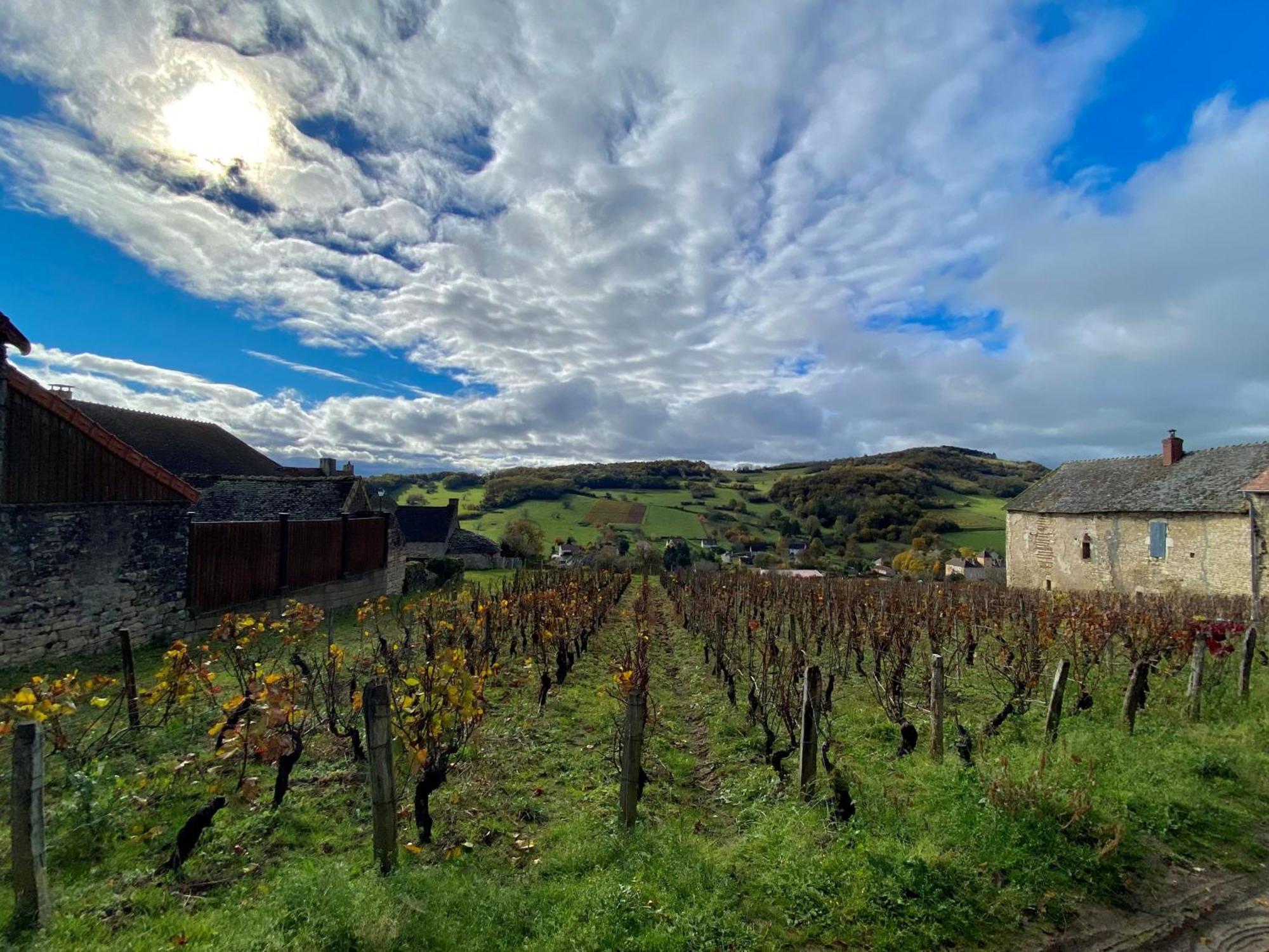 Bed and Breakfast Le Domaine De Moroges Esterno foto